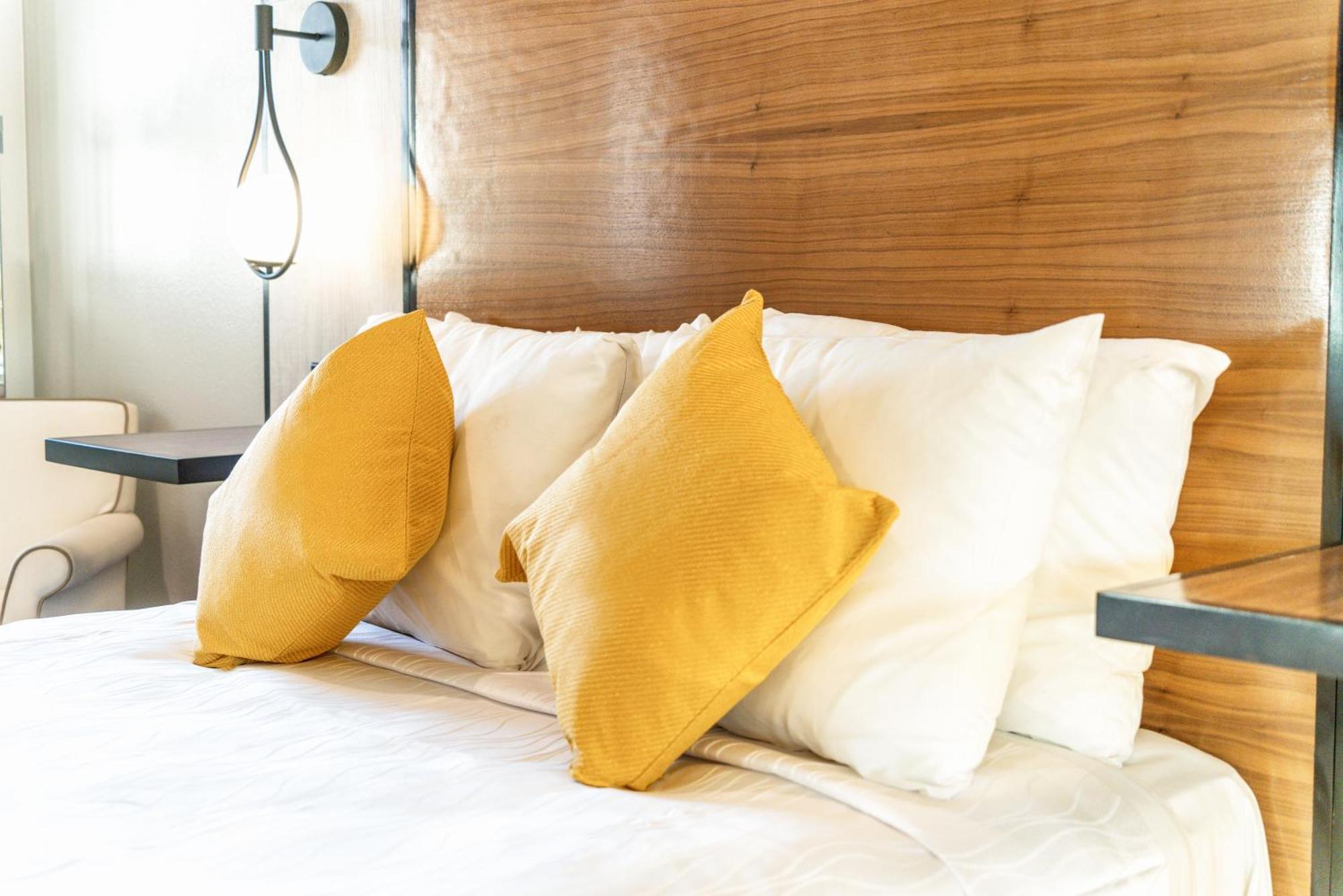 Aspire Inn Studios & Spas เบลฟลาวเวอร์ ภายนอก รูปภาพ